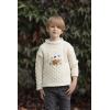 Aran Crafts Kid’s Soft Animal Design Sweater, 100% Super Soft Merino Wool, Fisherman Sweater-Style Knit, Made in Ireland